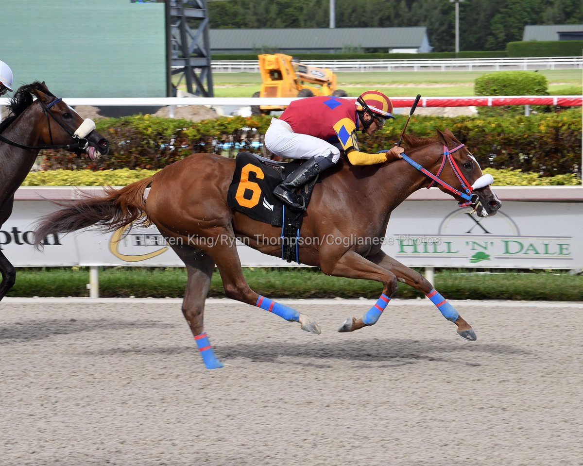 videohipico's tweet photo. Racing Colors outfinishes Mi Negrita to take race 5, @LeojockeyReyes at the reins for trainer @MJWHorseRacing. #GulfstreamPark #RoyalPalmMeet 

Racing Colors doblega a Mi Negrita para llevarse en la 5.ª carrera, Leonel Reyes en las riendas para Matthew Williams. @GulfstreamPark https://t.co/nU9OVCeYvx