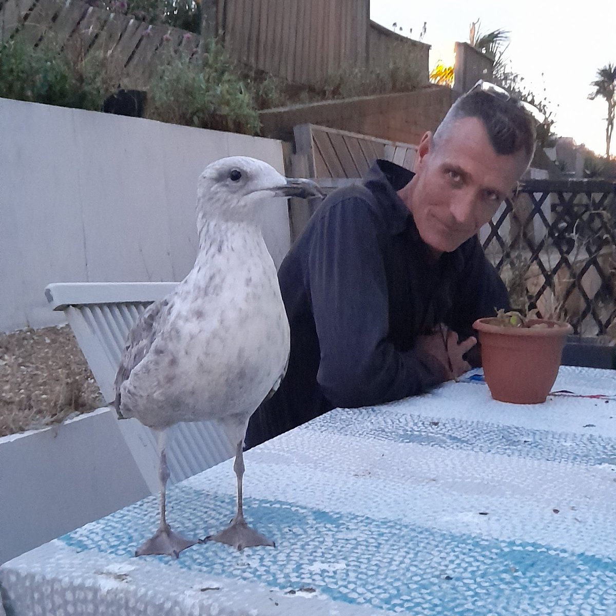 #NewProfilePic
SOS gofund.me/40eba815