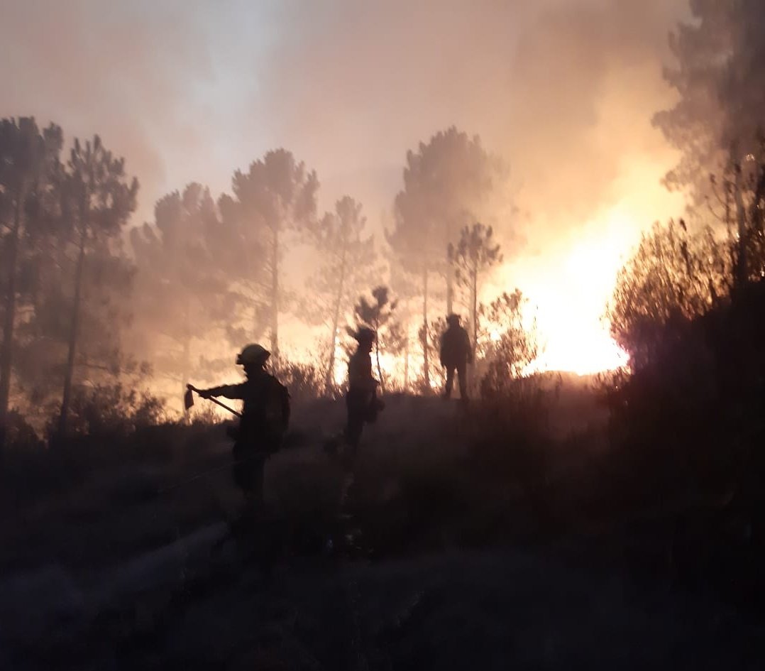 AT_Brif's tweet photo. 🔥#IFMeis PO
🔥#IFALama PO
🔥#IFAmes C
👨‍🚒@BrifLaza

🔥#IFCuresBoiro C
👨‍🚒@briflubia RD

Mucho ánimo y #OACEL para todos los #BomberosForestales que les queda una dura noche combatiendo el fuego.

#VamosBRIF https://t.co/cD7LS37IL9