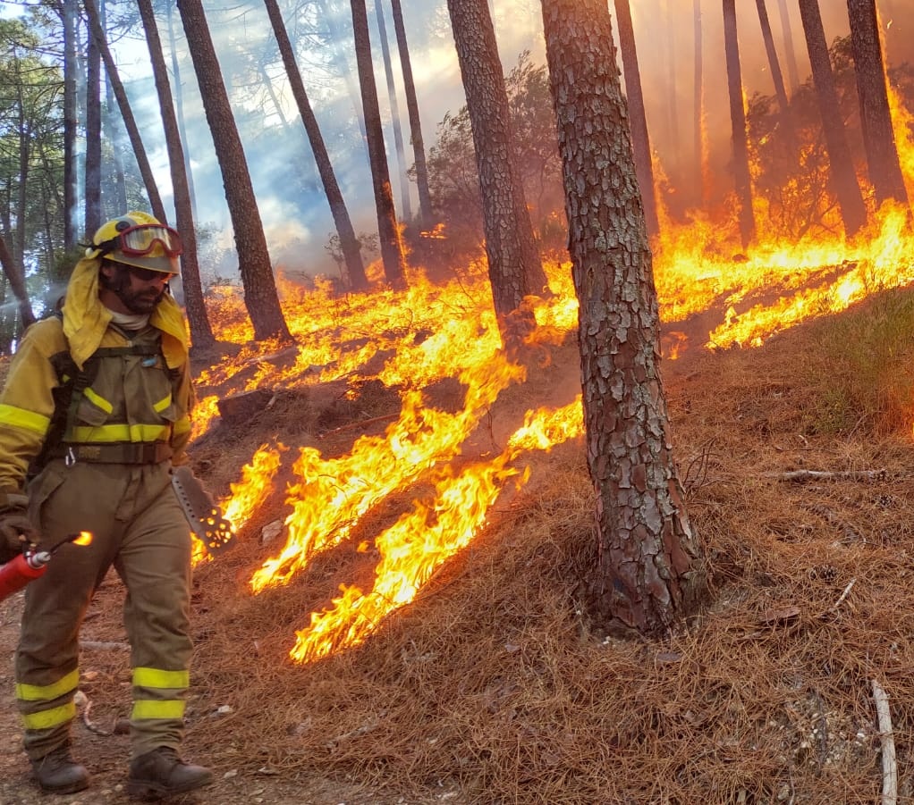AT_Brif's tweet photo. 🔥#IFMeis PO
🔥#IFALama PO
🔥#IFAmes C
👨‍🚒@BrifLaza

🔥#IFCuresBoiro C
👨‍🚒@briflubia RD

Mucho ánimo y #OACEL para todos los #BomberosForestales que les queda una dura noche combatiendo el fuego.

#VamosBRIF https://t.co/cD7LS37IL9