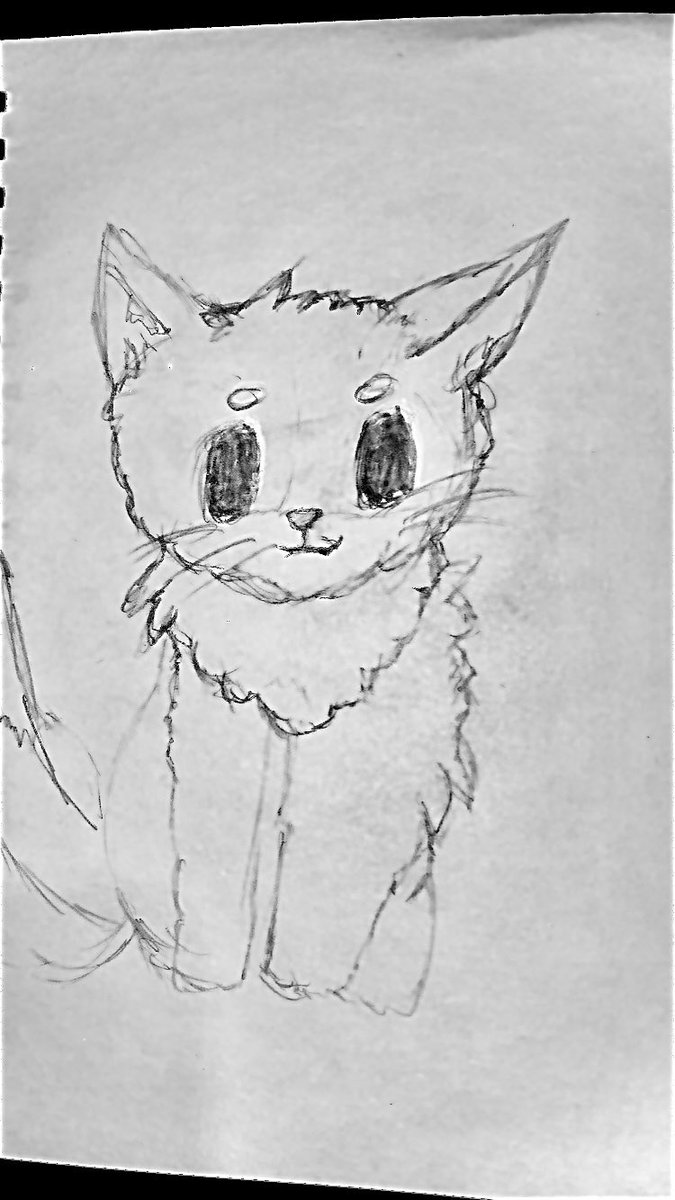 CadenceLouisexo's tweet image. Cute cat #commets #artwork #anytips #TweetsNow