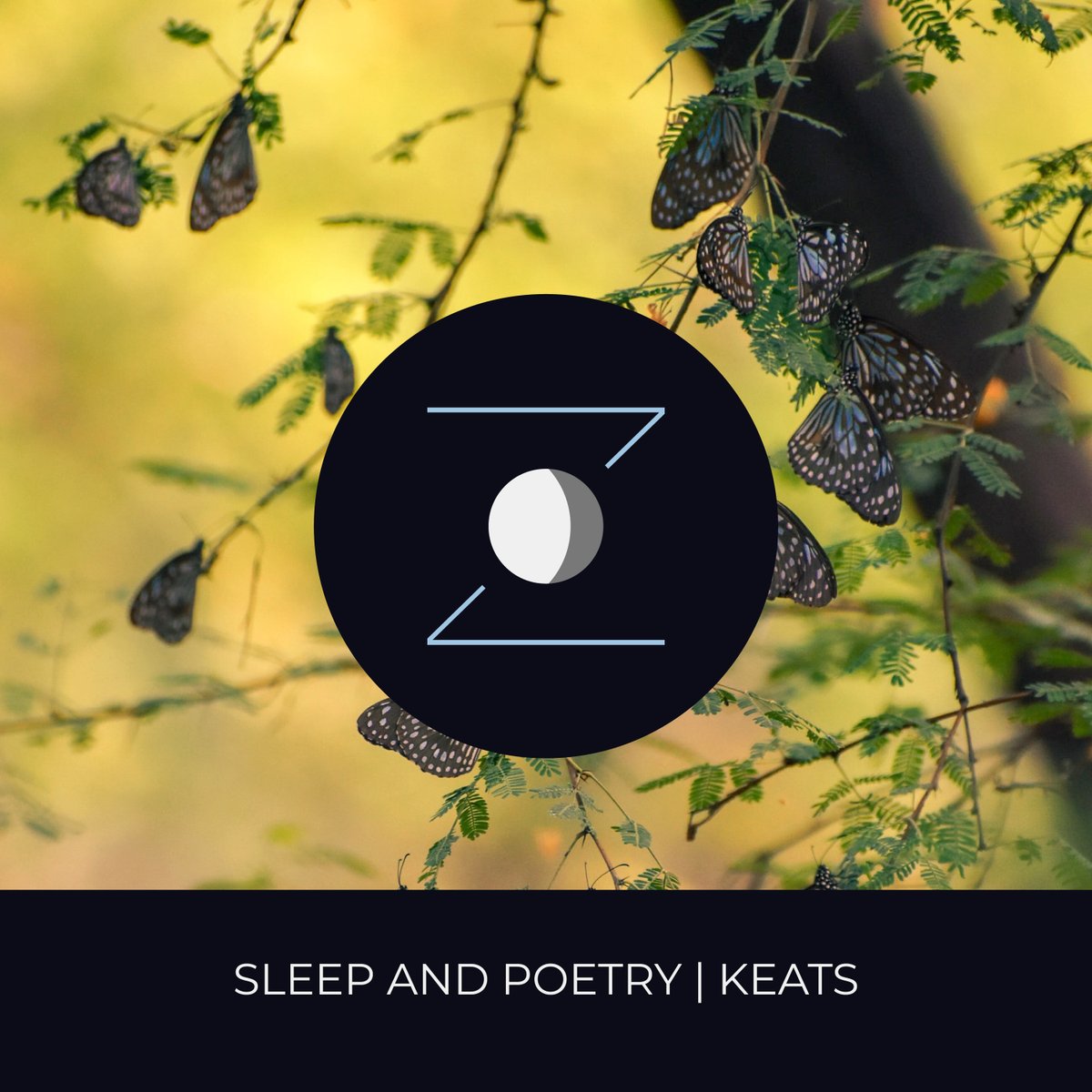snoozecast's tweet photo. This week #getcozy with🖊️ “Sleep and Poetry” by Keats along with 🏠 The Cheap Flat as part of our Poirot series and 🪴The Secret Garden!

#poirot #agathachristie #keats #secretgarden https://t.co/b5JBQwsBaV