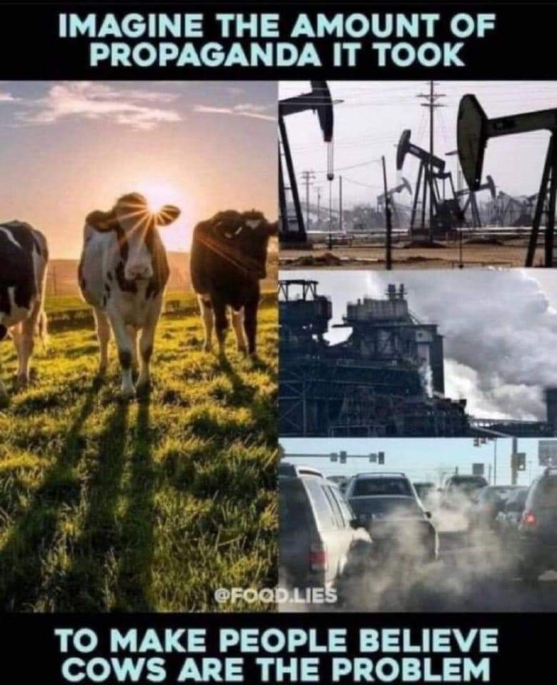 KronborgB's tweet photo. Let's take the transparency to the next level.
#BringCaebonCreditsOnChain
#Klima #Klimates
@VerraStandards @KlimaDAO https://t.co/kRoufUsMGO