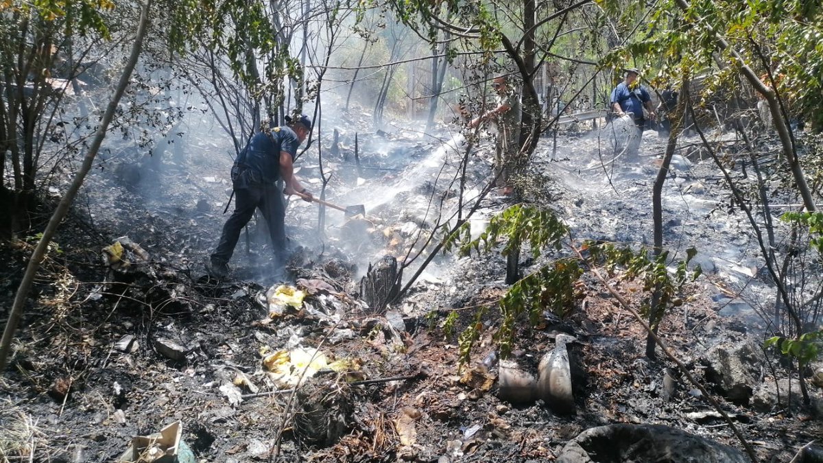 Blog del Regio tweet media