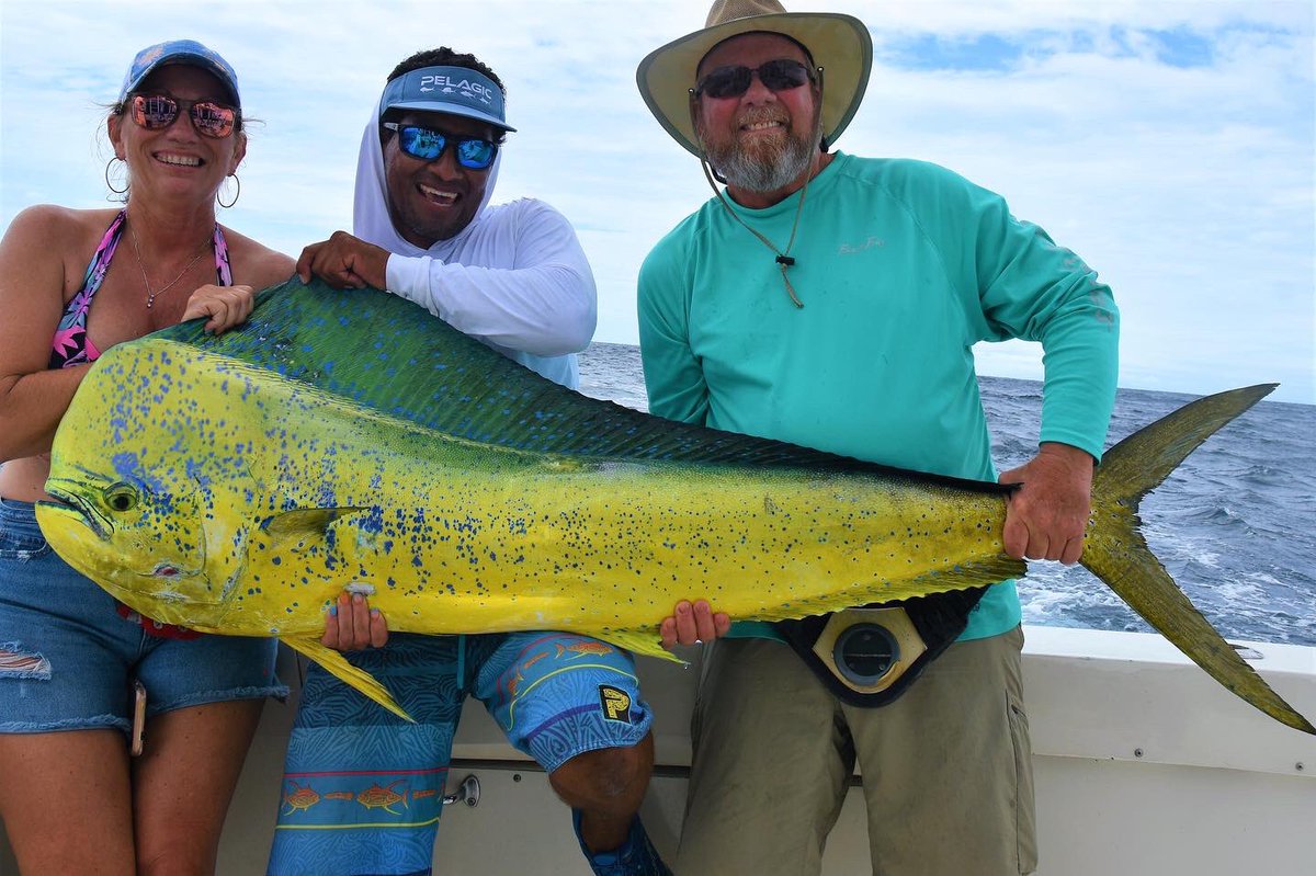 BushwackerCR's tweet photo. Nice day on the Bushwacker yesterday. Marlin on 30# line and a big mahi. #bushwackercr #PELAGICWORLDWIDE #pelagicgear https://t.co/X6gUfHYxyy