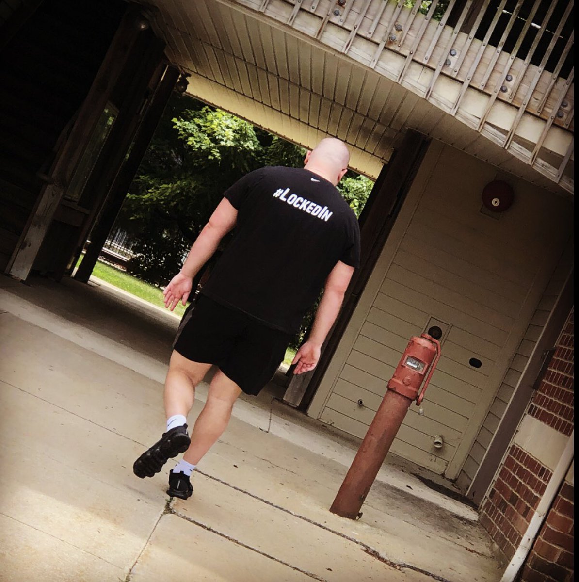 Lynn Rees tweet media