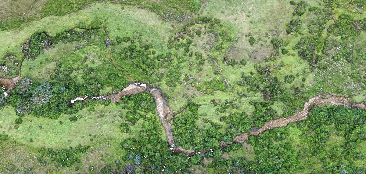 Danny White tweet media