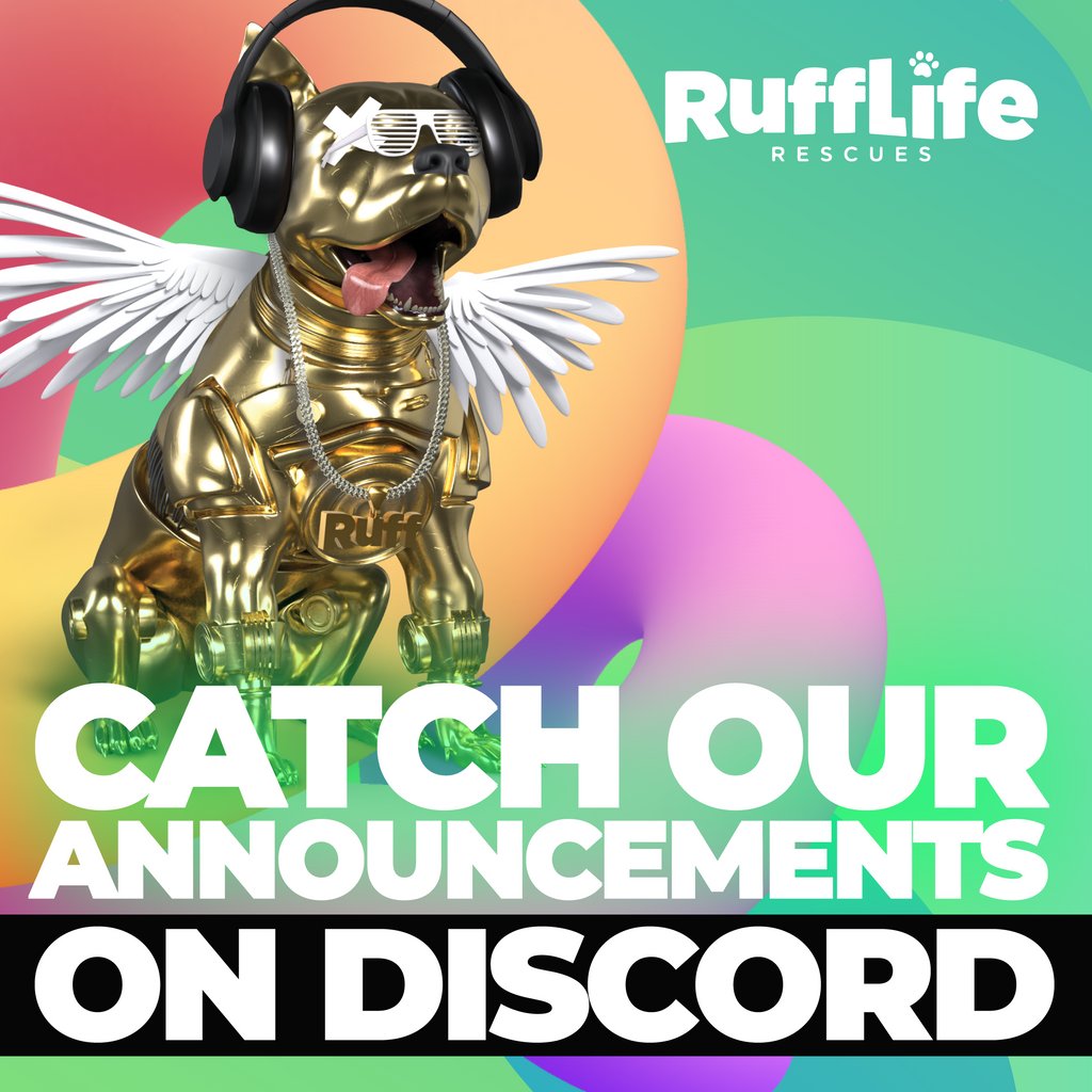 RuffLife Rescues. tweet media