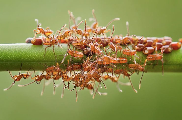 When it comes to giving, some people will stop at nothing. Anon