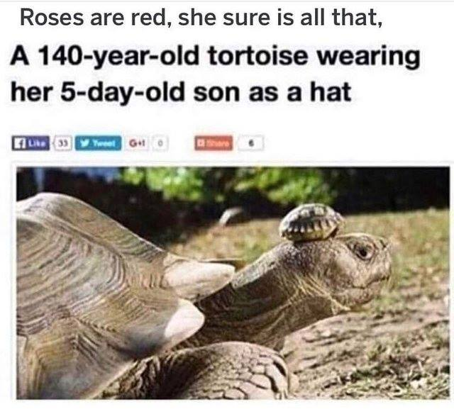 WholesomeMeme's tweet photo. https://t.co/aEGkKxqRuS