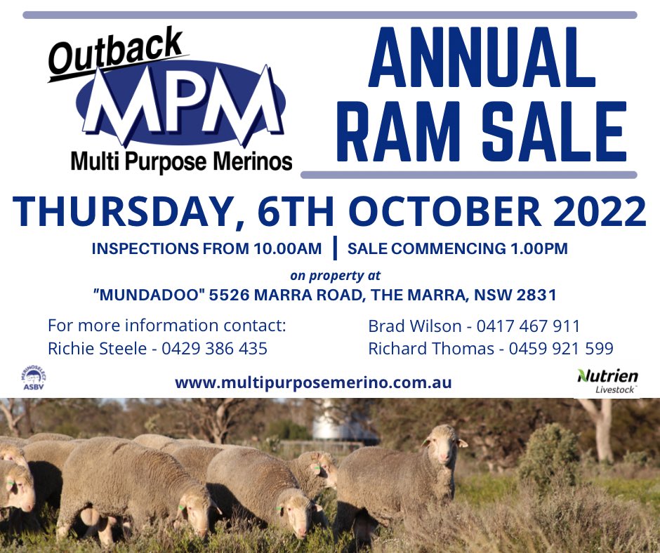 Richie Steele - Outback MPM (@outbackmpm) on Twitter photo Change of date this year. <a href="/outbackmpm/">Richie Steele - Outback MPM</a> Annual Ram Sale will be held on Thursday, 6th October 2022. Change of date this year. <a href="/outbackmpm/">Richie Steele - Outback MPM</a> Annual Ram Sale will be held on Thursday, 6th October 2022.