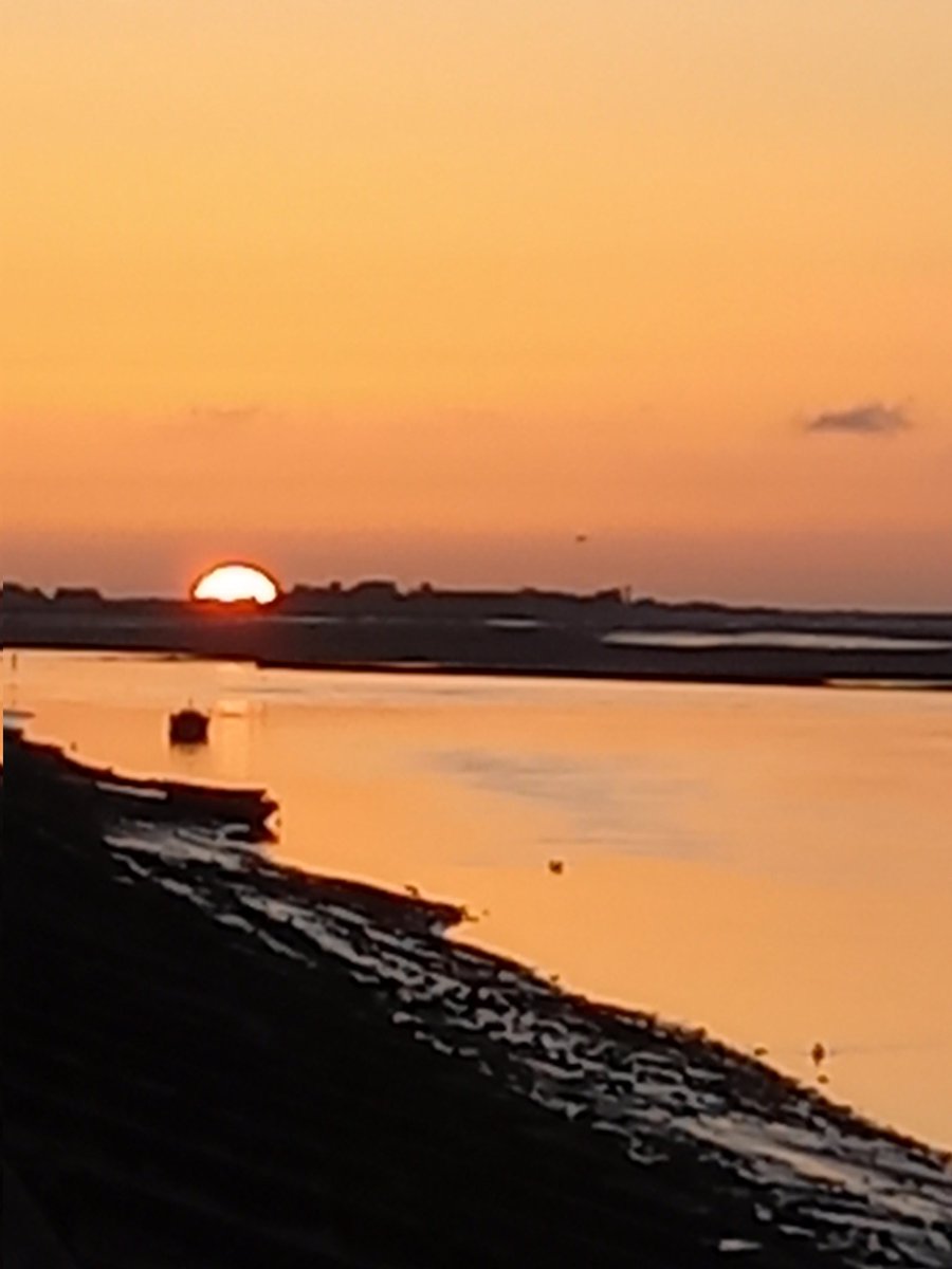 BydFrdrique1's tweet photo. #baiedesomme Juste un magnifique spectacle, j'aime #picarde https://t.co/i5JRFjPTcs