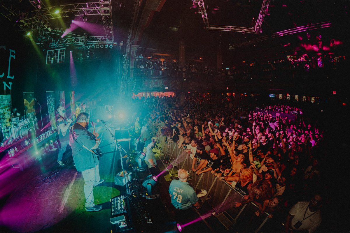 DGDtheband tweet picture