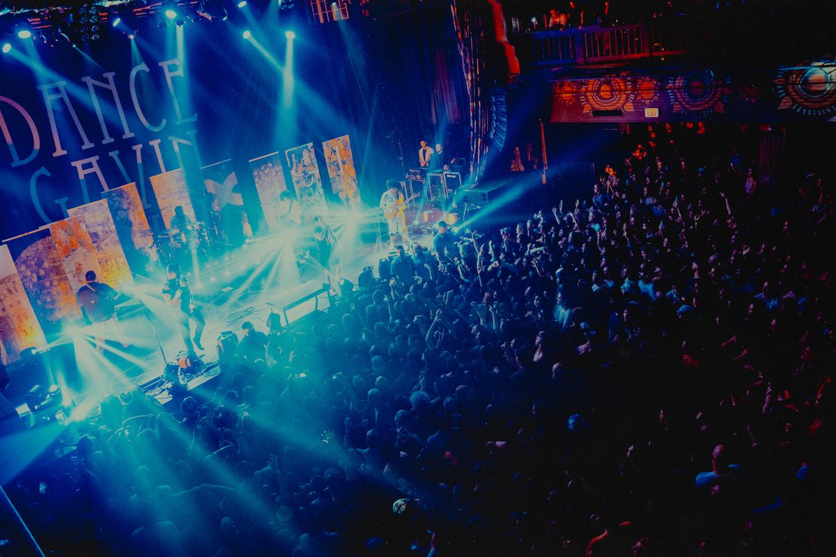 DGDtheband tweet picture