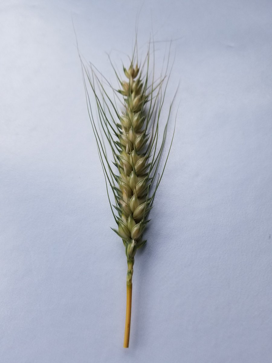 Bryan Cook tweet media