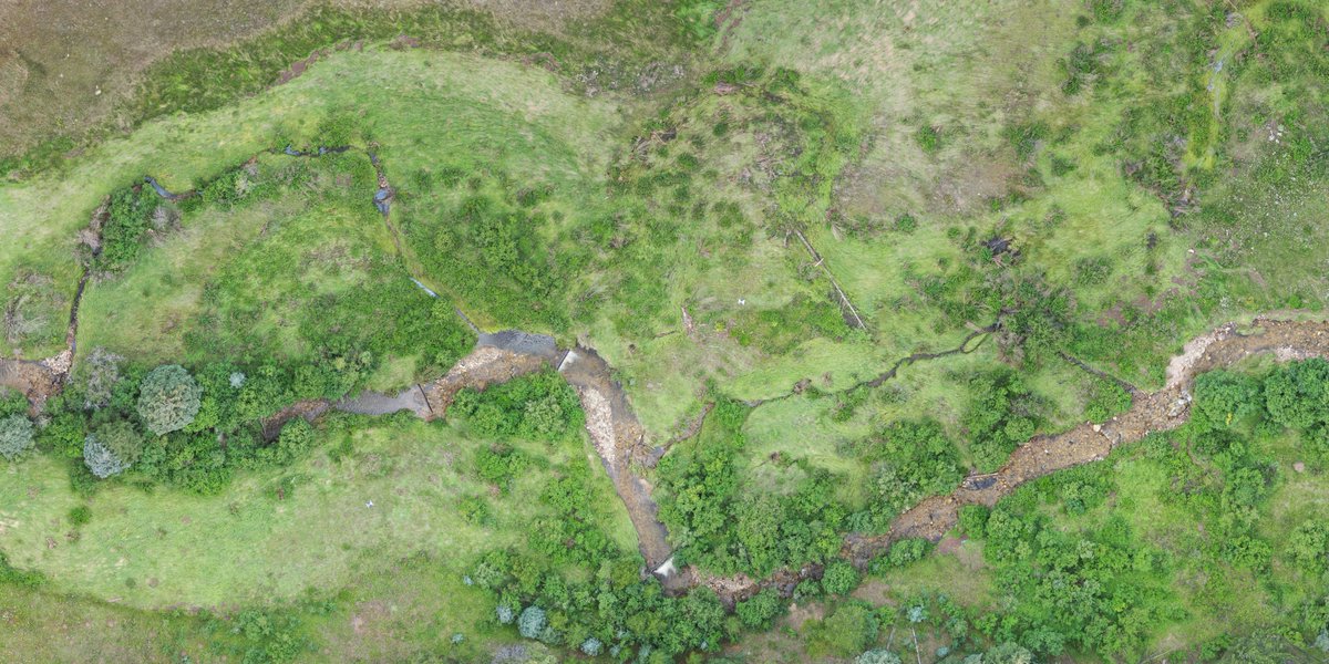 Danny White tweet media