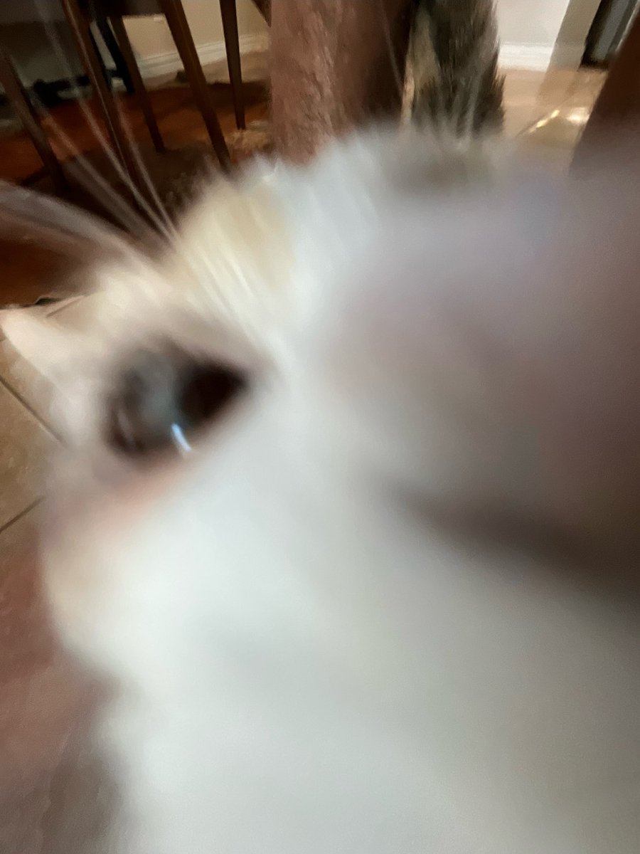 You have something she wants