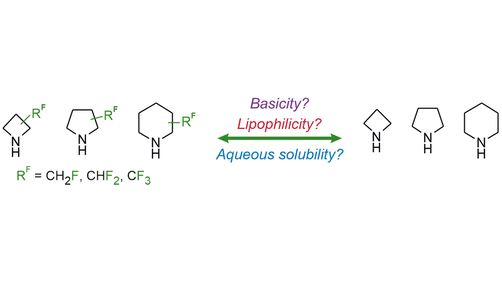ChemEurJ's tweet photo. Impact of fluoroalkyl substituents on the physicochemical properties of saturated heterocyclic amines (Grygorenko et al. @EnamineLtd @KyivUniversity @DrGregor2 @KMelnykov @Yu_Kuchkovska) https://t.co/2ZaQDw7lUc https://t.co/ysBO97DyU9