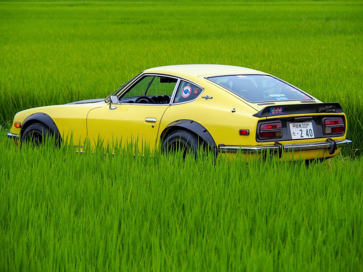yasaimeijin0240's tweet photo. 来週から3年ぶりに開催される🌻座間ひまわりまつり🌻。😊先取りします。
#s30z #240z #座間ひまわりまつり https://t.co/YRj638S1bR