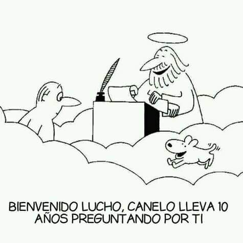 Seguro que ellos te esperan allá con mucho amor...