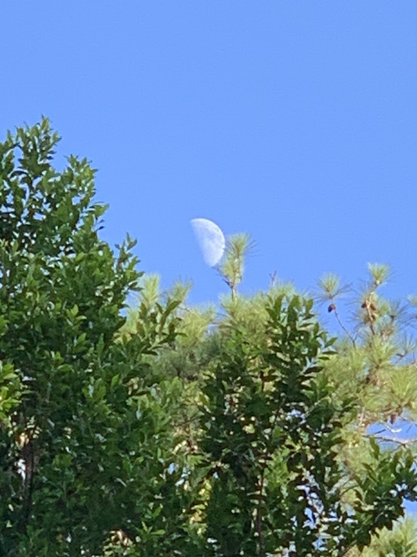 okamoto_sandra's tweet photo. Good evening, Columbus! The moon is just past its half moon phase at 55.6% and is very pretty. Go outside and take a look. #ColumbusGA #08/05/2022 #afewclouds #stillwarm&humid #nobreeze #birdsquiet #cicadasloud #distantboomboxplaying #neighborsdogsquiet #mymoonobsessioncontinues https://t.co/6LCsyFLQBx
