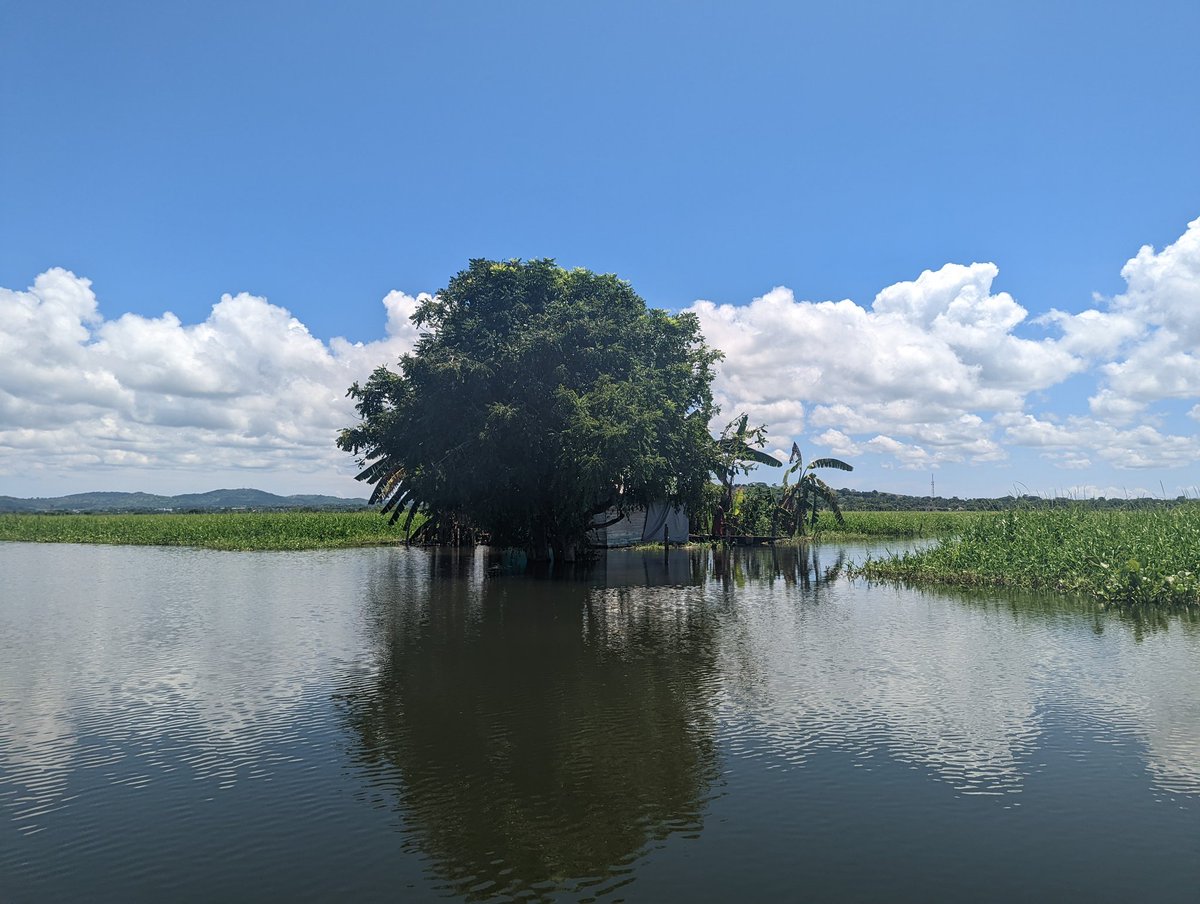 Ciénaga Grande del Bajo Sinú