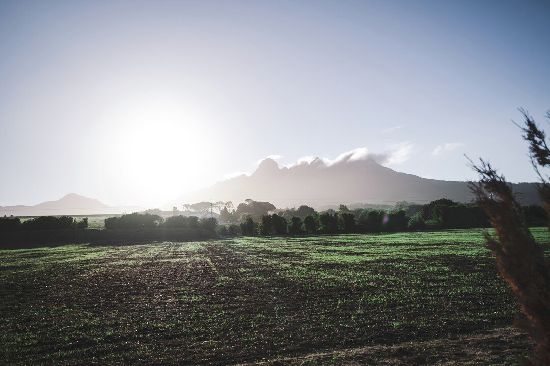 Not sure what to do today? We are open from 10 am to 4 pm. Visit us for a wine tasting in our cosy tasting lounge at the foot of the Helderberg Mountains. #winelover #winetasting #redwine #winetime #kenforrestervineyards