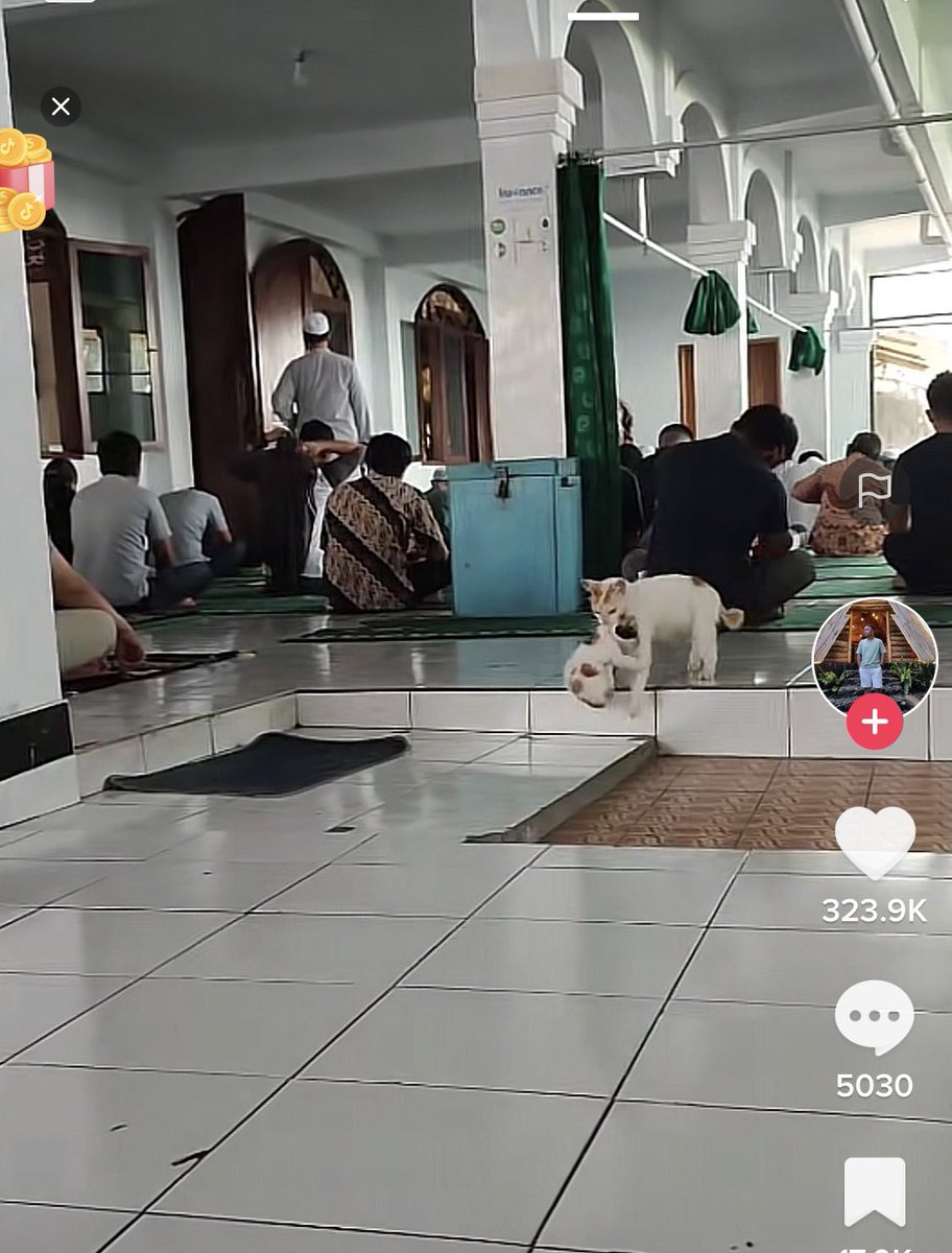 kochengfs's tweet photo. 🐈‍⬛ Ada yg tau kah ini kronologi aslinya gimana? Alasan Knp anaknya dijemput dari mesjid? https://t.co/fbnnIyoeMx