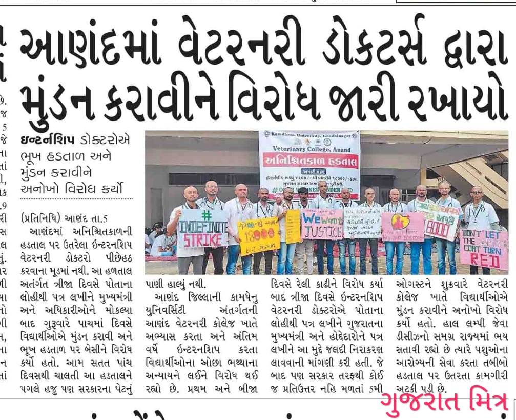 હાલ સુધી બેઠી હતી સરકાર જંપીને,કામે લગાડી દીધા બધાય ને લમ્પી એ,કામ થતા જ ભૂલી જાય પશુવૈદ્યો ને ,આ સરકાર તો બહુ જ દંભી છે.
#Increase_Guj_Vet_Stipend
#Guj_vet_union <a href="/CMOGuj/">CMO Gujarat</a> <a href="/Bhupendrapbjp/">Bhupendra Patel</a> <a href="/KanuDesai180/">Kanu Desai</a> <a href="/RaghavjiPatel/">Raghavji Patel</a> <a href="/CRPaatil/">C R Paatil</a> <a href="/BJP4Gujarat/">BJP Gujarat</a> <a href="/Divya_Bhaskar/">Divya Bhaskar</a> <a href="/Drvet29/">Dr Vet</a> <a href="/VtvGujarati/">VTV Gujarati News and Beyond</a>