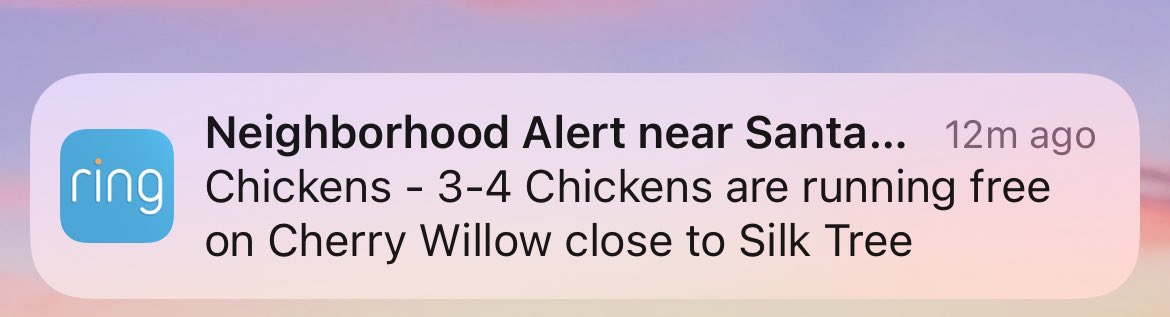 Welcome to Santa Clarita!