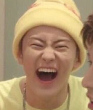 고양이행성 tweet media