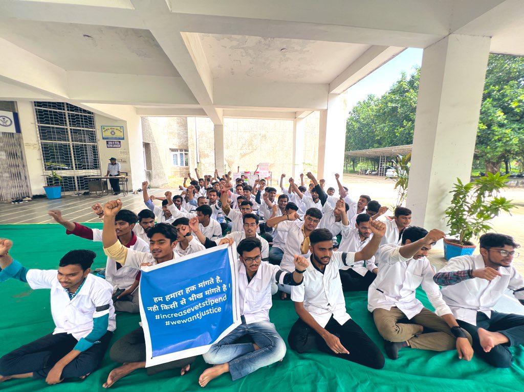 PhD, PG doctors and internship students supports all veterinary students and join the strike against low stipend given by the Gujarat Gov.
<a href="/CMOGuj/">CMO Gujarat</a> <a href="/Bhupendrapbjp/">Bhupendra Patel</a> 
<a href="/RaghavjiPatel/">Raghavji Patel</a> <a href="/KanuDesai180/">Kanu Desai</a> 
#Increase_Guj_Vet_Stipend
#Guj_vet_union
#Guj_veterinary_students_on_strike