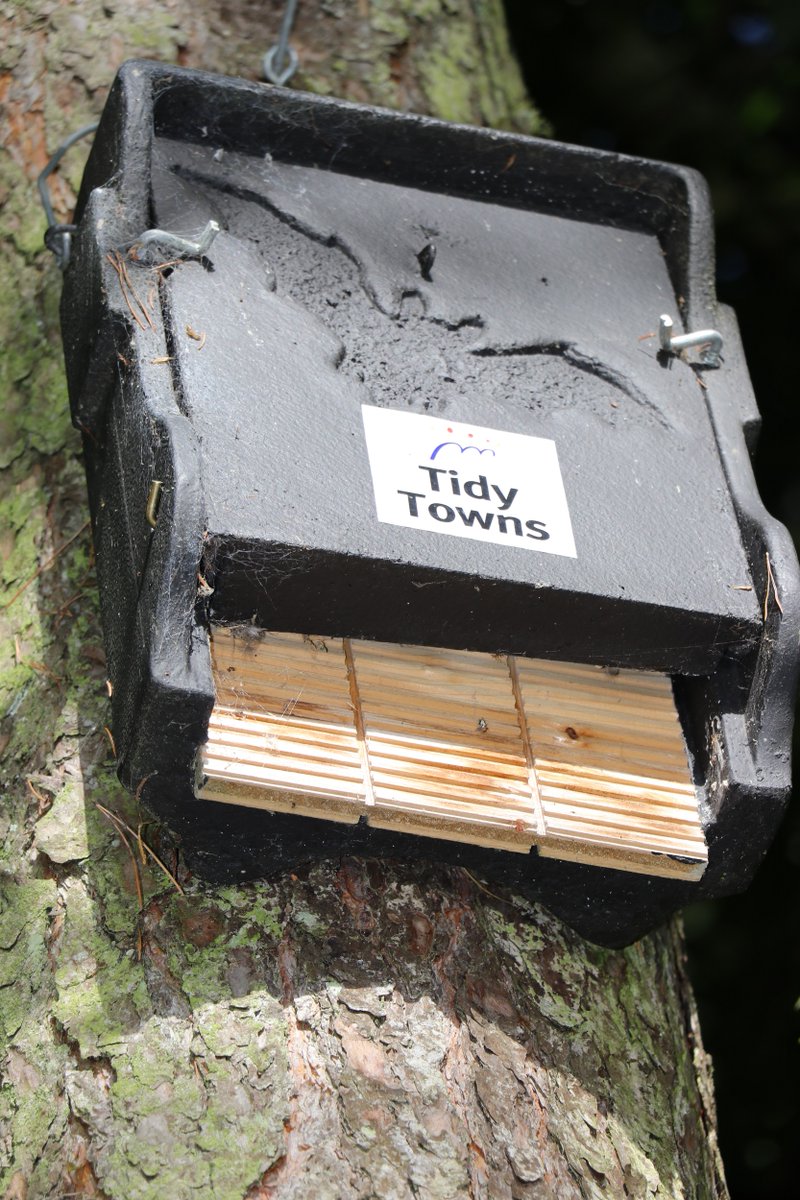 TTNewbridge's tweet photo. Join us at the #WateringGates in the #LiffeyLinearPark for a batty fun-filled evening!
At 8.44pm on Saturday August 20th Anna Collins of #KildareBatGroup will lead a bat walk & describe some of the Irish species observed.
#BatsAboutNewbridge
Link:
https://t.co/wqoZPptsXP https://t.co/i5ZTW6bAXC