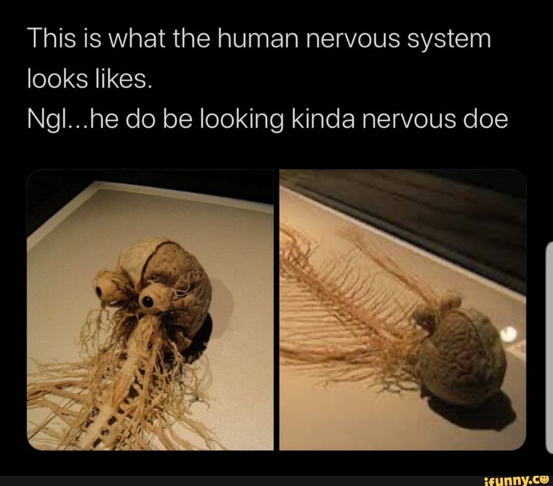 SarahParr13's tweet photo. @BerryFruitCakes Brings me back to this meme https://t.co/PnCsOuy6ZG