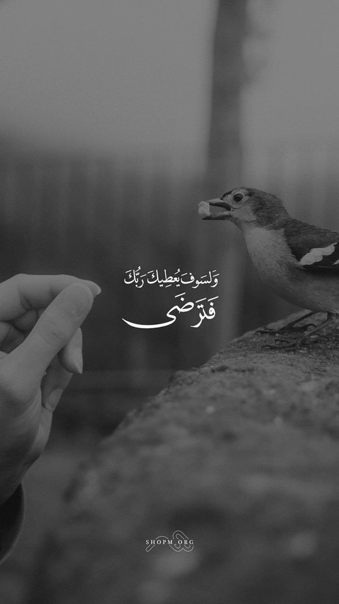 5fo_o8's tweet photo. كل شيء سيمضي ،
سيعبر ،
سينتهي …
ثم يعوضكم الله عوضاً يليق بقلوبكم ♥️
ٰ 
كأنه يخبركم بأن دروب الأمل لا تندثر
 وأن الخير سيتبعكم ويصنع من أحزانكم مفاجآت سعيدة ، 
تفائلوا بالخير تجدوه .

⛈ https://t.co/xxrP6iPVvL