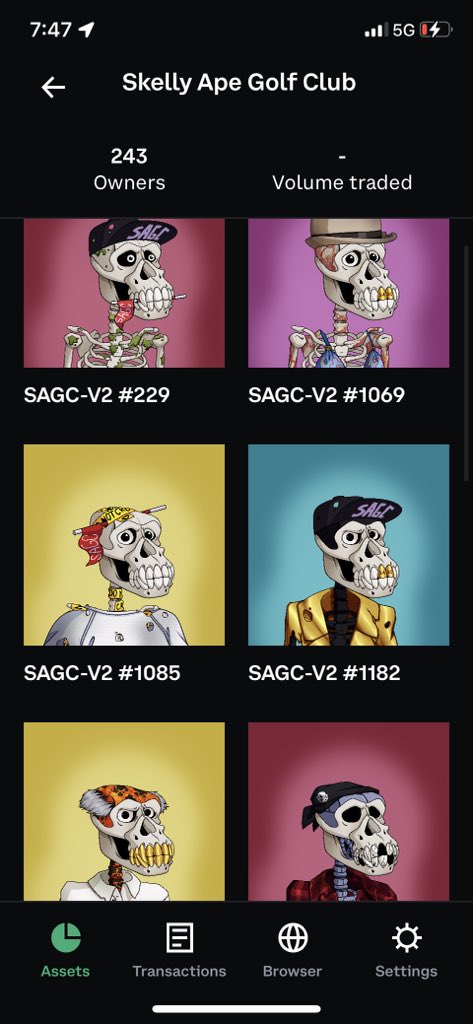 <a href="/Jamcook5/">joemomma24</a> <a href="/SeniorApeGC/">Senior Ape Golf Club NFT | SOLD OUT</a> Plenty of other #SAGC and #SKELLYS. You know the #SAGCVIBE !