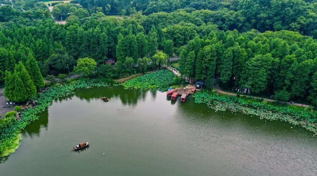 GoJiangsu's tweet photo. 😉😉Looking for a place to stay cool this scorching summer? Come visit the Yuantouzhu scenic spot in Binhu district of #Wuxi, a natural shady retreat🍃🍃that offers scenic views and boating options. #TravelInJS https://t.co/41gBznCsT5