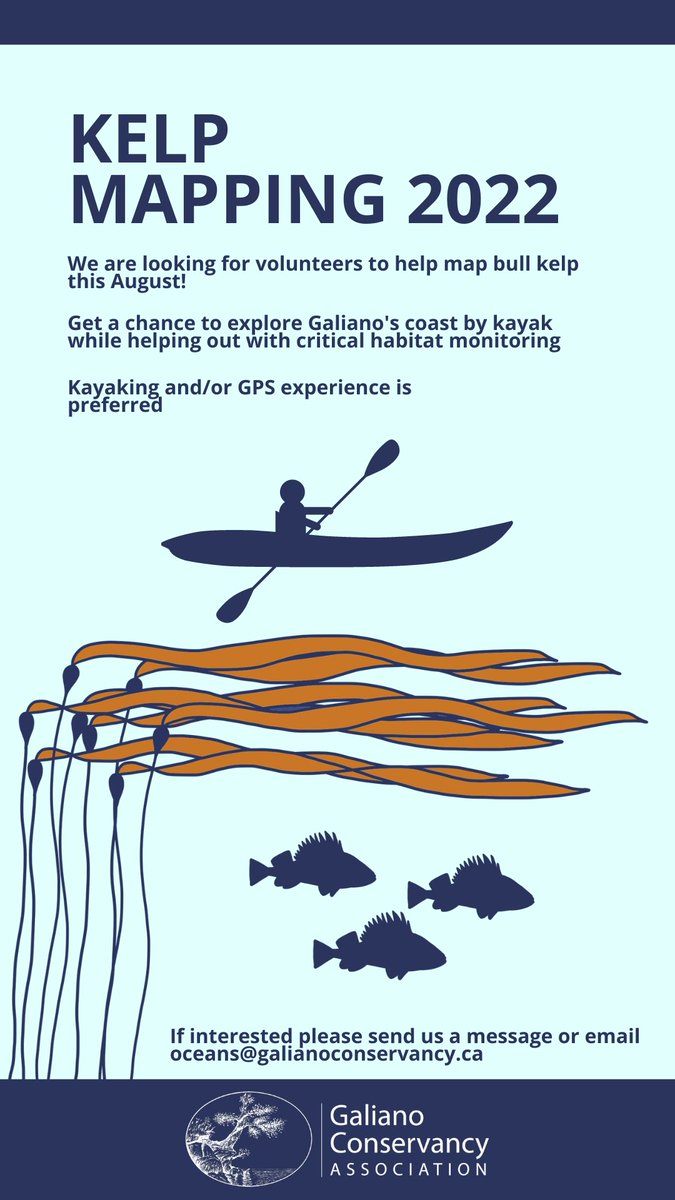 #VolunteerOpportunity! We are #mapping kelp beds around #Galiano's coastal areas all throughout August. If you'd like to join, please email us at oceans@galianoconservancy.ca