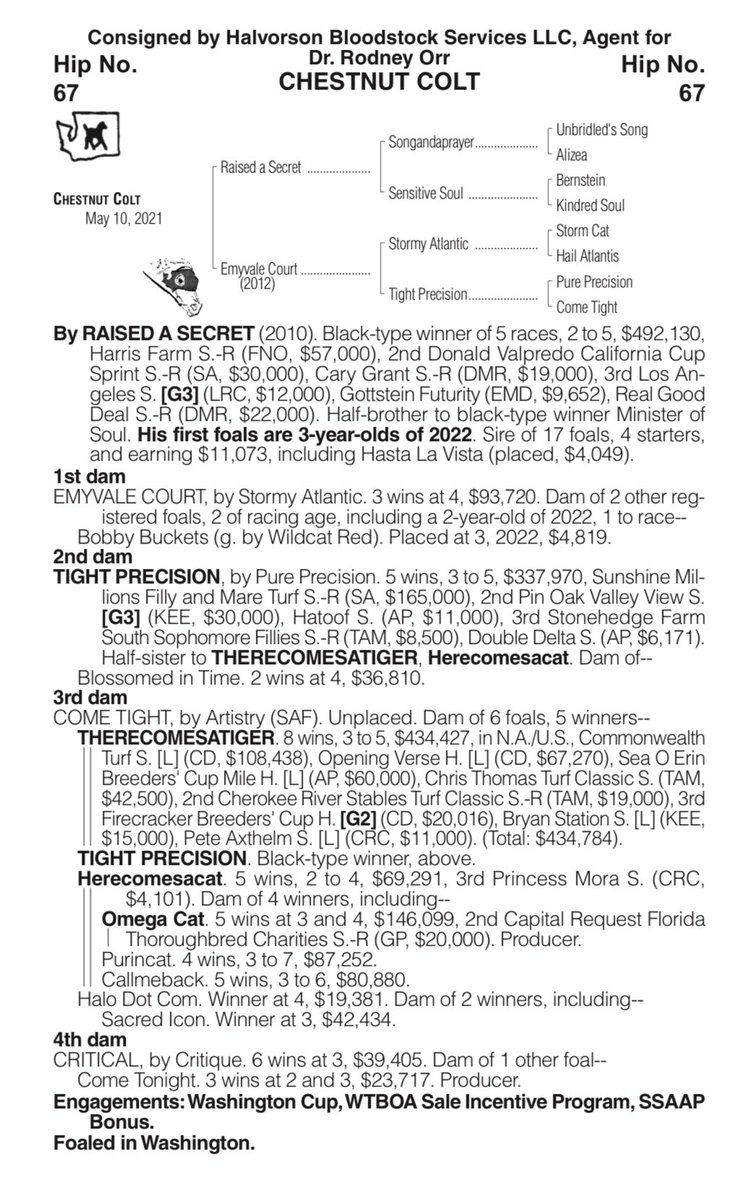 WTBOA's tweet photo. Catalog update - Hip 67 is a half brother to recent @EmeraldDowns winner BOBBY BUCKETS who broke his maiden on 7/23 https://t.co/LQBGIXzjEt