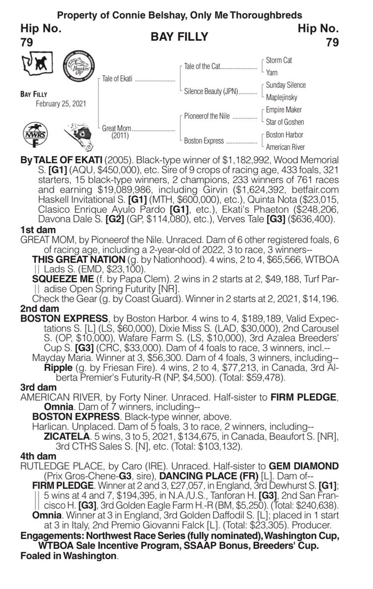 WTBOA's tweet photo. Catalog update - Hip 79 is a half sister to recent @EmeraldDowns maiden special weight winner ASK ALICE who was 3 1/2 lengths the best on 7/17 https://t.co/j0Lehlpytn