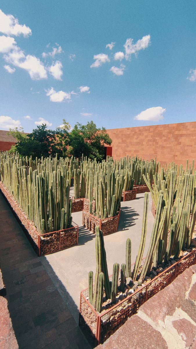 Thanuki21's tweet photo. Museo Laberinto de las ciencias y las artes 🌵#slp #museolaberinto https://t.co/OdVeULDYd4