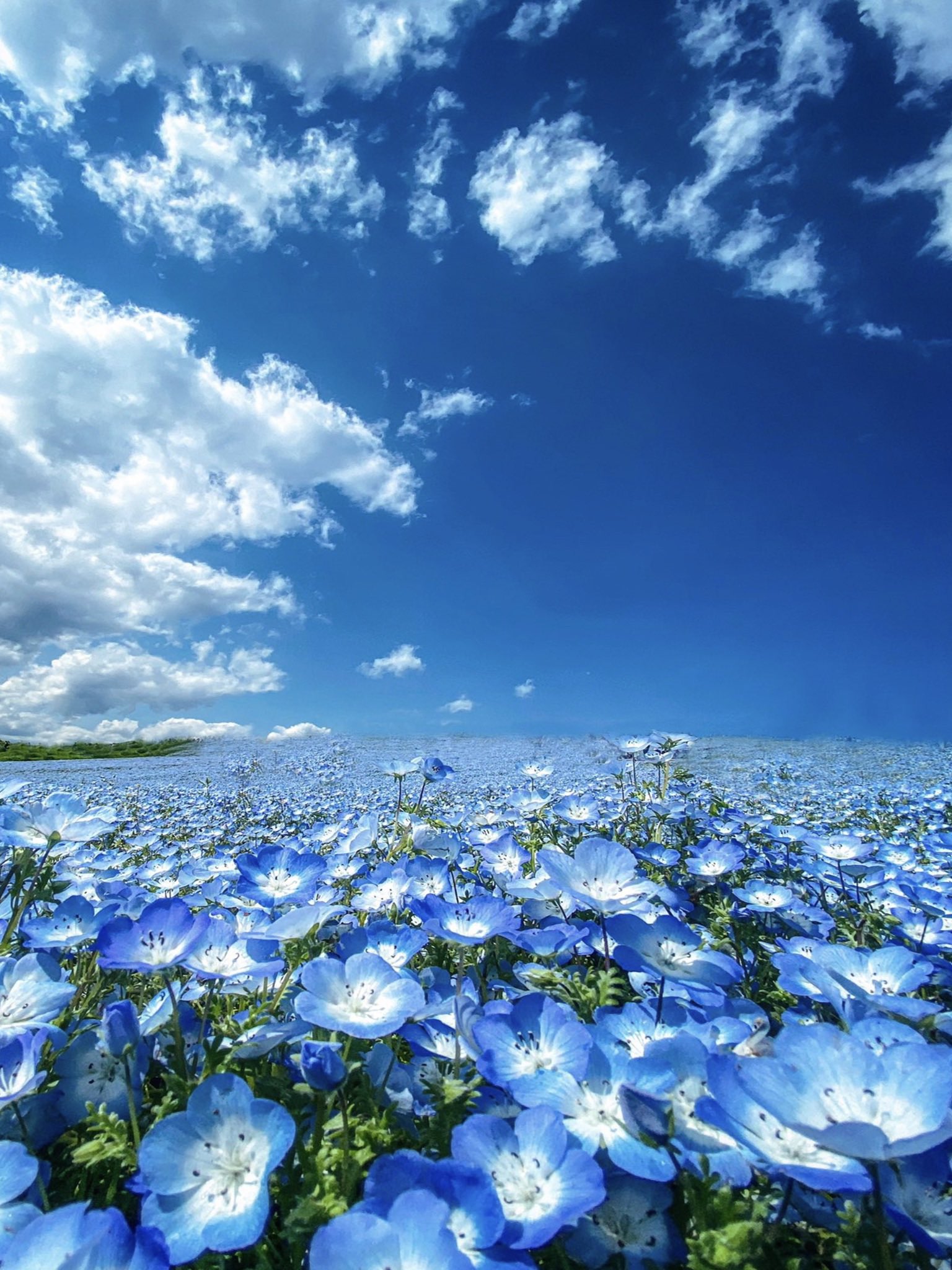 Debra Reeves on Twitter "Seals and Crofts. Summer breeze, makes me