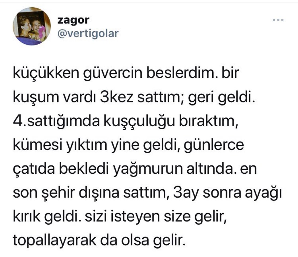 Alnı Öpülesi Tivitler (@alniopulesitivt) on Twitter photo 