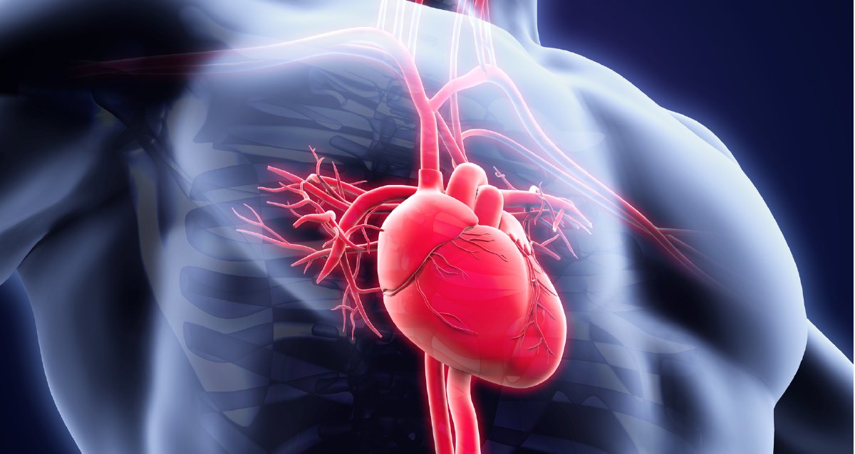 WebMD's tweet photo. The American Heart Association (AHA) warns social isolation and loneliness put people at a 30% higher risk of heart attack, stroke or death. https://t.co/yQeqBSRHyl https://t.co/wnXf8h9Sk8