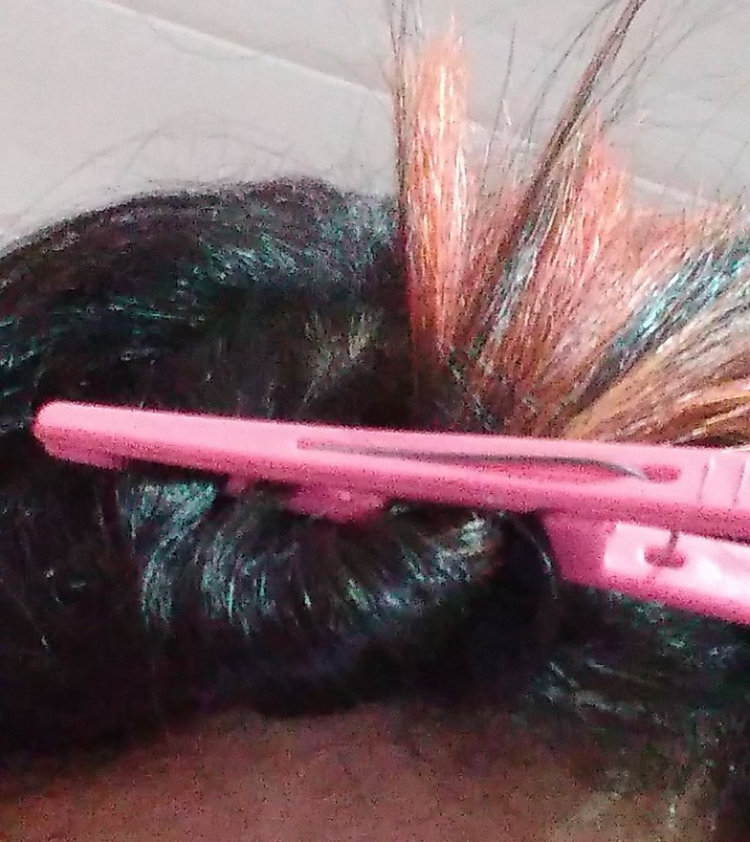 MOVEDVSF's tweet photo. O cabelo todo ajeitadinho, mas aí vem a franja- https://t.co/aWKoVLUaYE