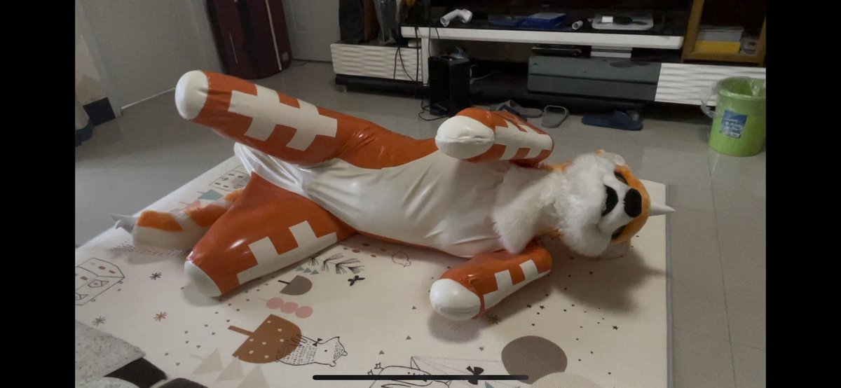 bkin080's tweet image. 来点可爱狗狗？