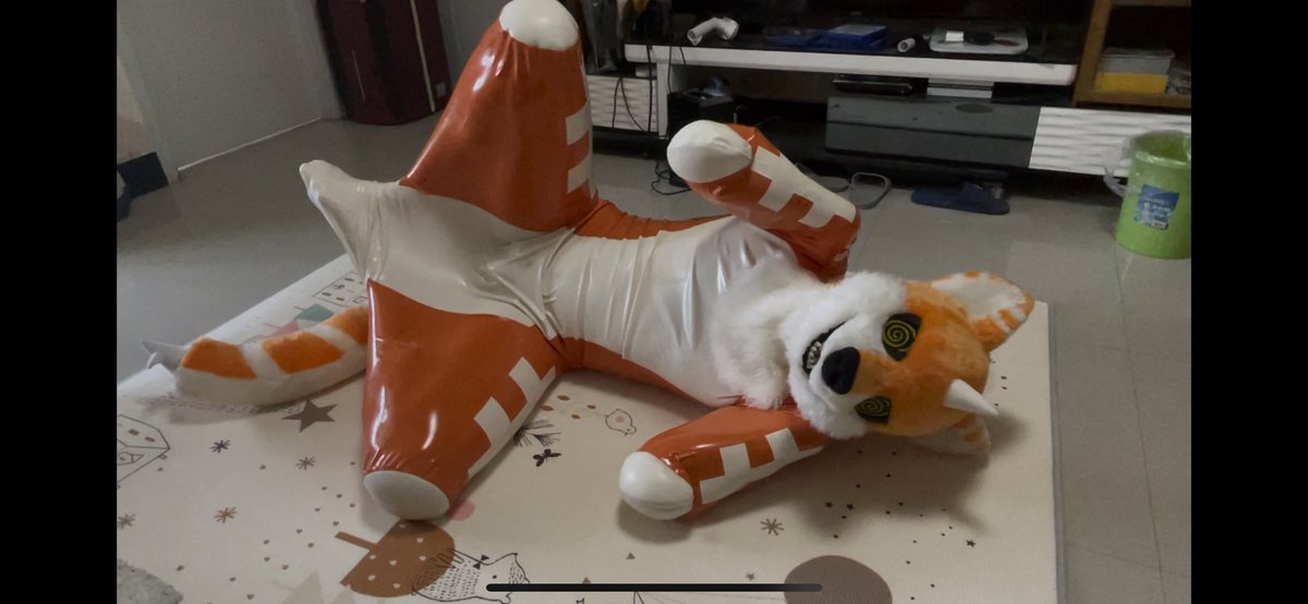 bkin080's tweet image. 来点可爱狗狗？