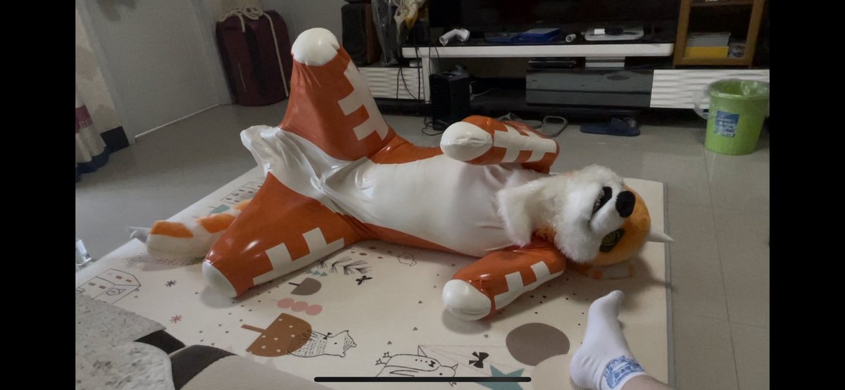 bkin080's tweet image. 来点可爱狗狗？