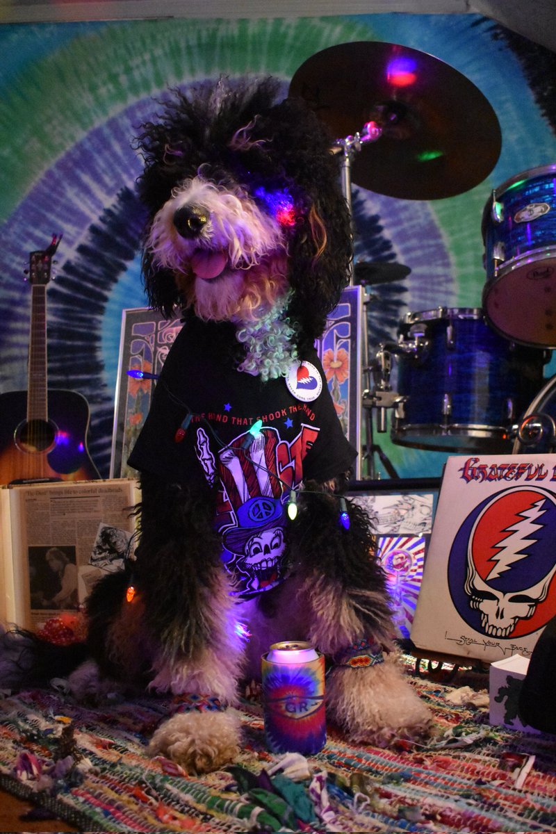 nettiequette's tweet photo. @WSDAH @SIRIUSXM @GratefulDead @BigSteveParish @jerrygarcia @reonegro We wuff our @WSDAH Family @reonegro โ๏ธ๐๐นโก๏ธ๐ถ โฎ๏ธ #DebsPicks #DaysBetween #JerryWeek #FureverGrateful #WSDAH https://t.co/6jZbgHpZUu