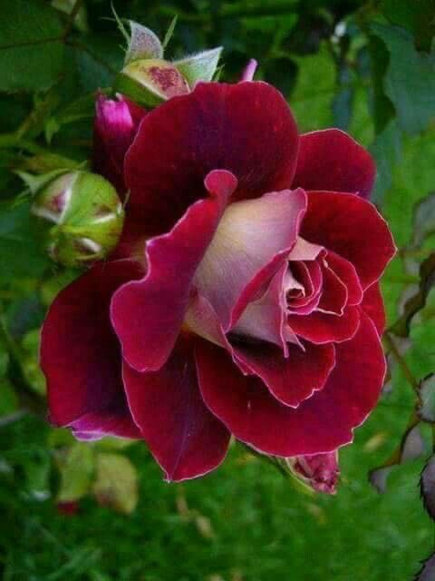 Günaydın…
Hayırlı sabahlar…
Sağlıklı mutlu ve güzel bir hafta sonu geçirmeniz dileğiyle…